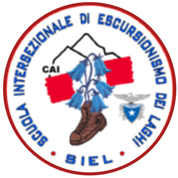 logo siel
