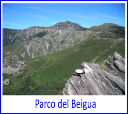 ParcoBeigua2024 dp