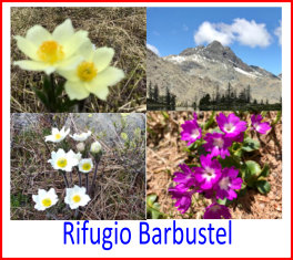RifugioBarbustel da La Veulla Covarey6giu21,