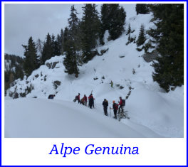 alpe genuina1marzo15