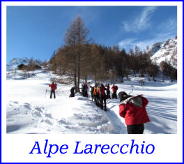 alpe larecchio22gen17