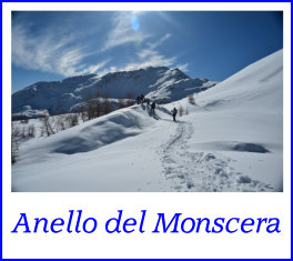 anello del monscera16feb17