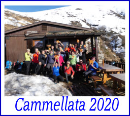 cammellata6gen20