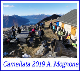 cammellata6gen2019