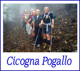 cicogna pogallo19set19