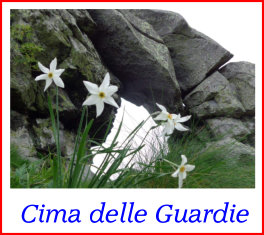 cima delle guardie4giu18