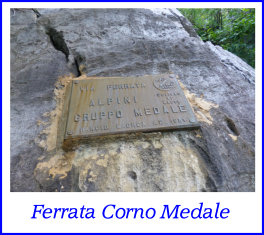 corno medale26maggio15