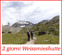 laginhorn31luglio16