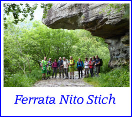 nito stich25giugno15