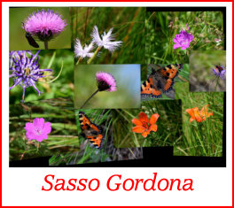 sasso gordona7luglio16