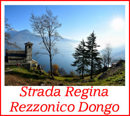 strada regina rezzonico dongo15dic16