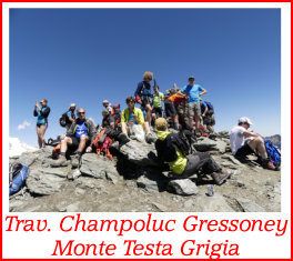 testa grigia17luglio16