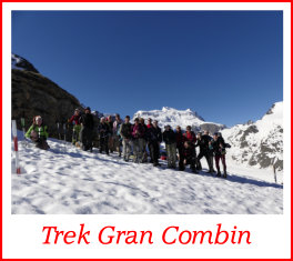 trek gran combin2016