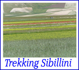 trekking sibillini giu19